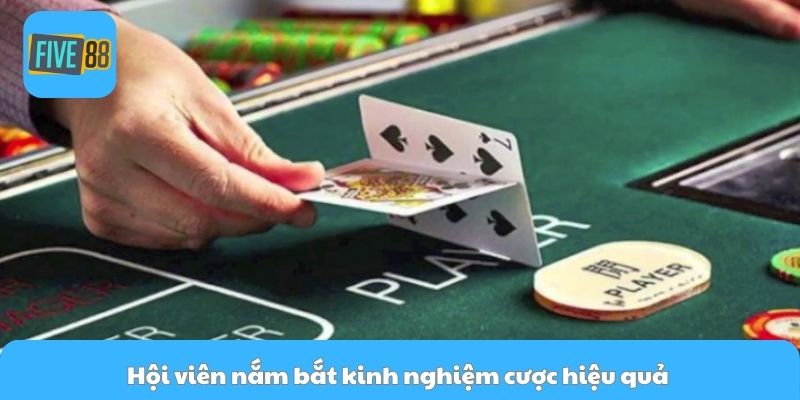 Hội viên nắm bắt kinh nghiệm cược hiệu quả 