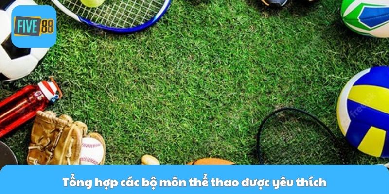 Tổng hợp các bộ môn thể thao được yêu thích